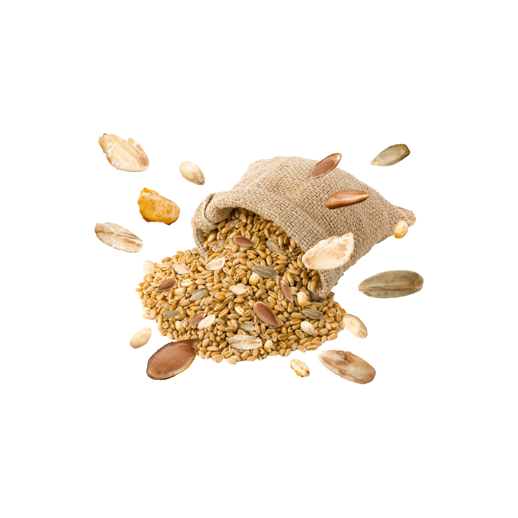 muni Çok Tahıllı Pirinç Patlağı