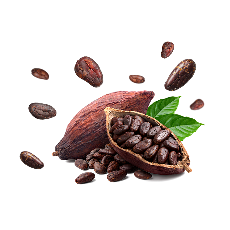 PEANUT BAR WITH COCOA BEANS