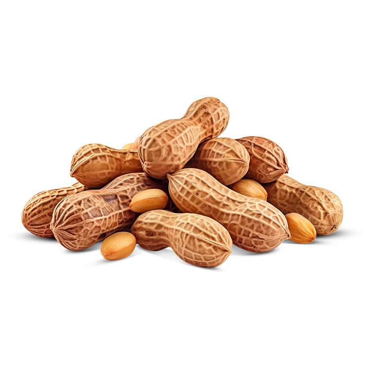 muni 100% Fıstık Ezmesi 3'lü